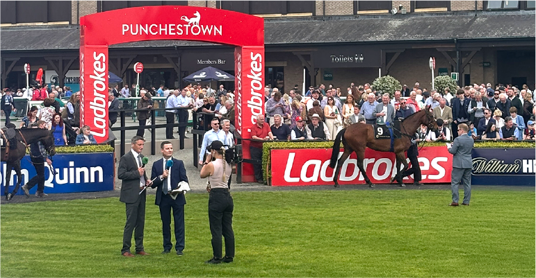 Case_Study_Punchestown_770x400