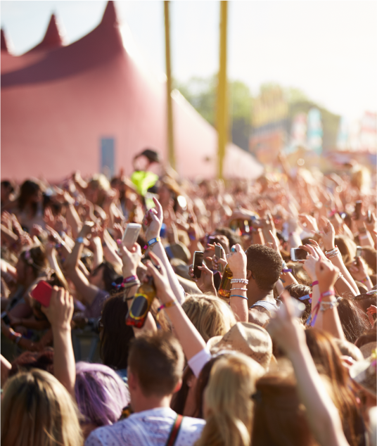 Case_Study_ElectricPicnic_535x633